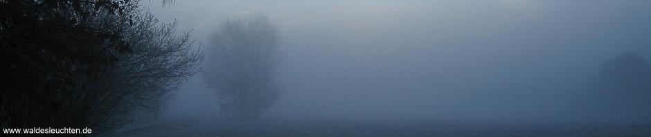 Nebel am Simssee