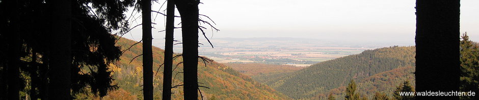 Blick auf den Harz