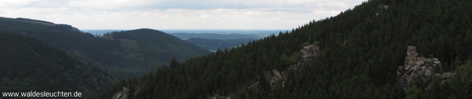 Blick von den Feigenbaumklippen über das Okertal