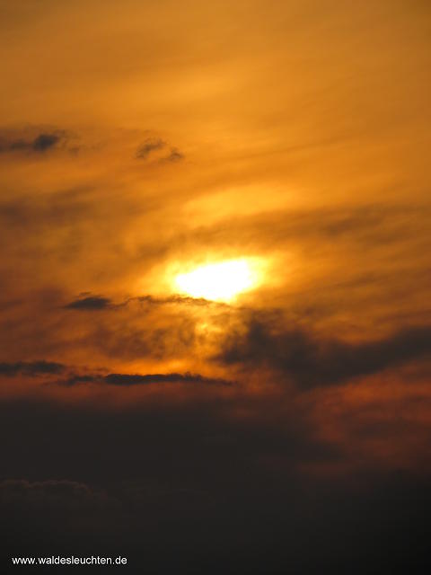 Sonnenuntergang an der Elbe bei Hohenwarthe