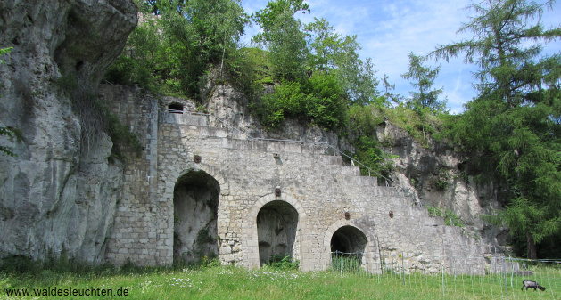 Burgruine Scharzfels