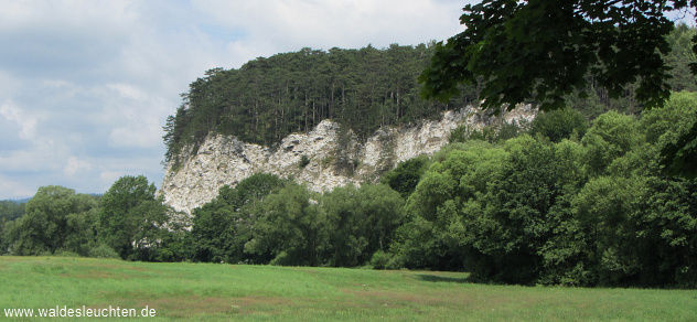 Sachsenstein