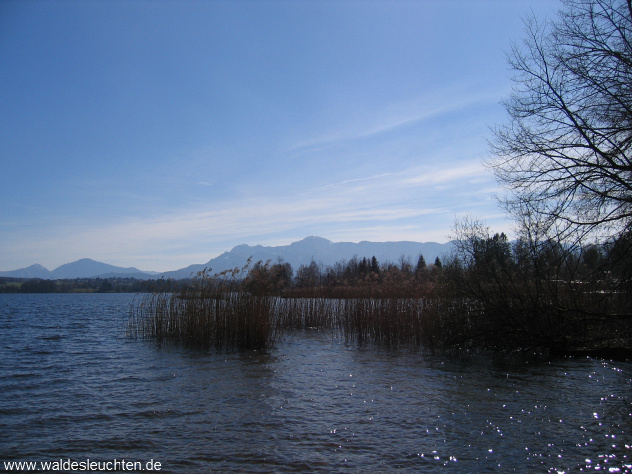 Nordufer des Staffelsees