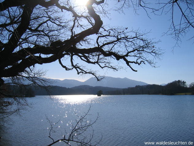 Staffelsee bei Murnau