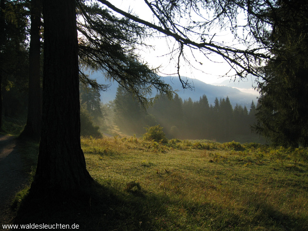 Auf dem Kramerplateauweg