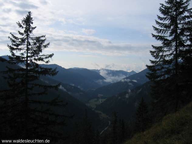 Aufstieg zum Seebergkopf - Blick ins Tal