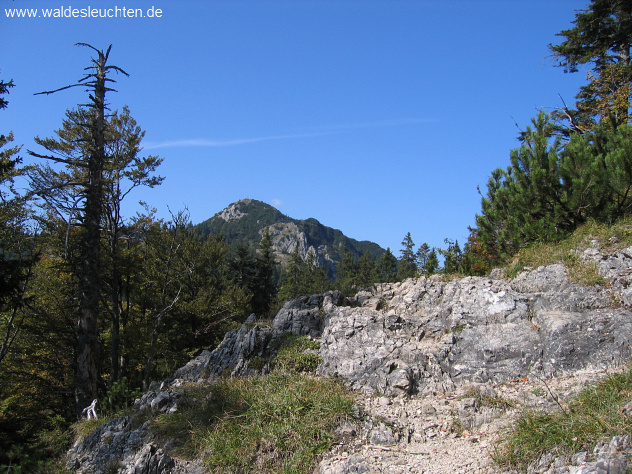 Blick vom Blaubergschneid zum Schildenstein