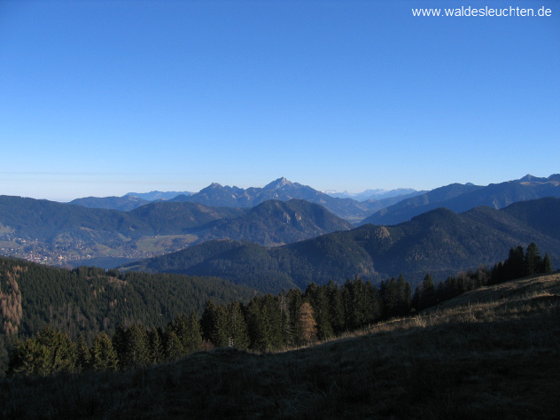 Blick von der Gindelalm - am Horizont der Wendelstein
