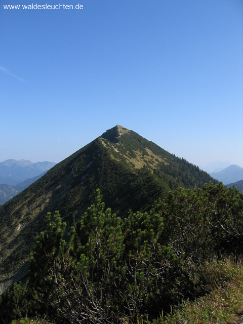 Blick zurück vom Blaubergschneid auf die Halserspitz