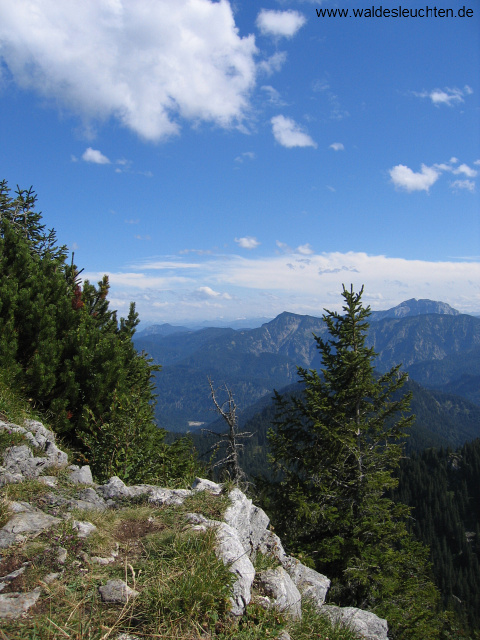 Hirschberg - Blick vom Gipfel