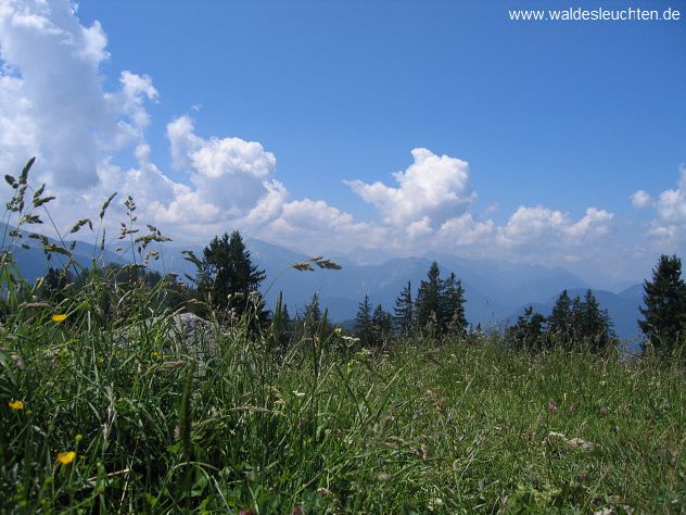 Hochalm - auf dem Gipfel
