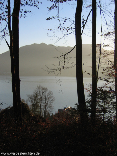 Tegernsee am Abend