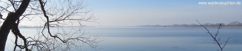 Westbecken am Mittag