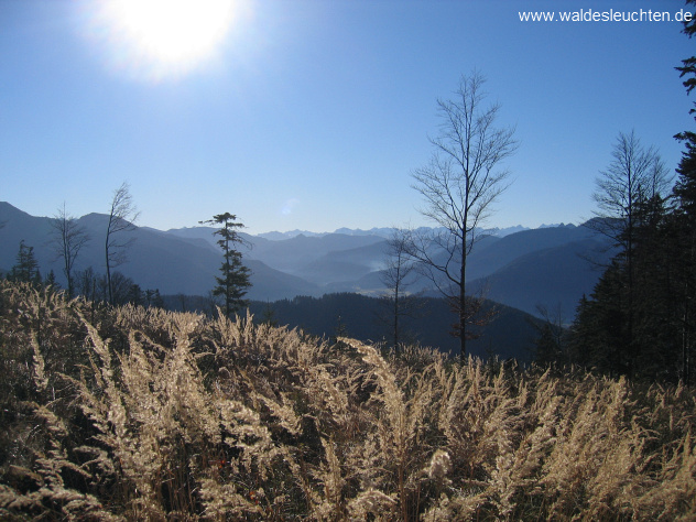 Zwischen der Neureuth und der Gindelalm