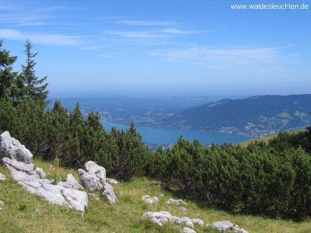 kurz vor dem Hirschberggipfel