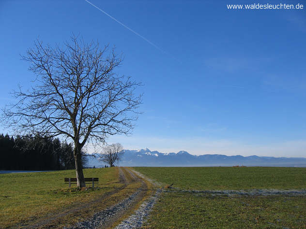 Ausblick bei Wolferkam