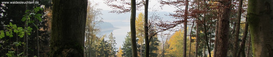 Granestausee in der Tiefe