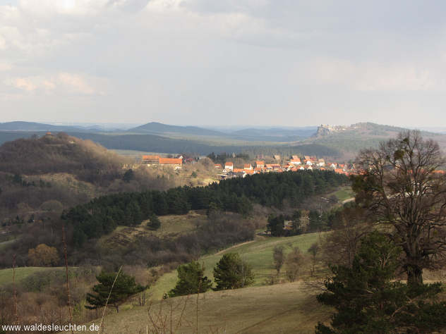 Blick auf Heimburg unter dem Regenstein