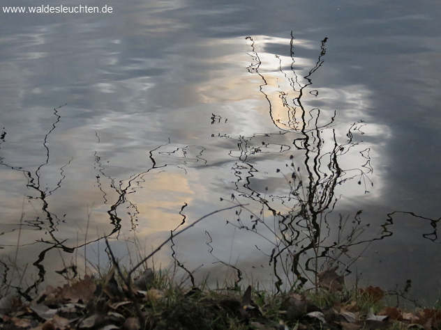 Spiegelbilder